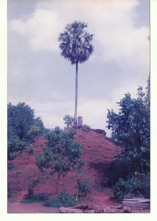 Images of Thrissur Keezhtali Mahadeva Temple