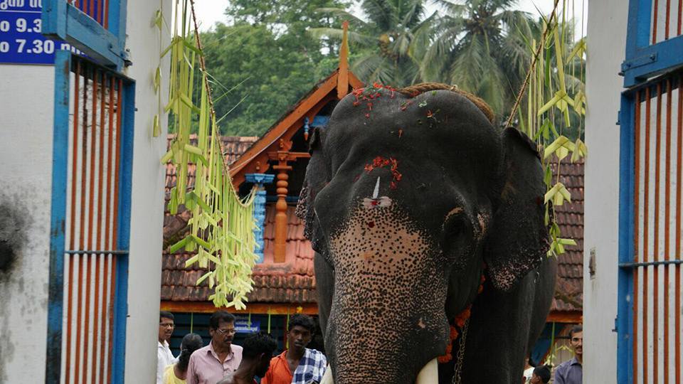 Images of Thrissur Anjumoorthy Vishnu Temple