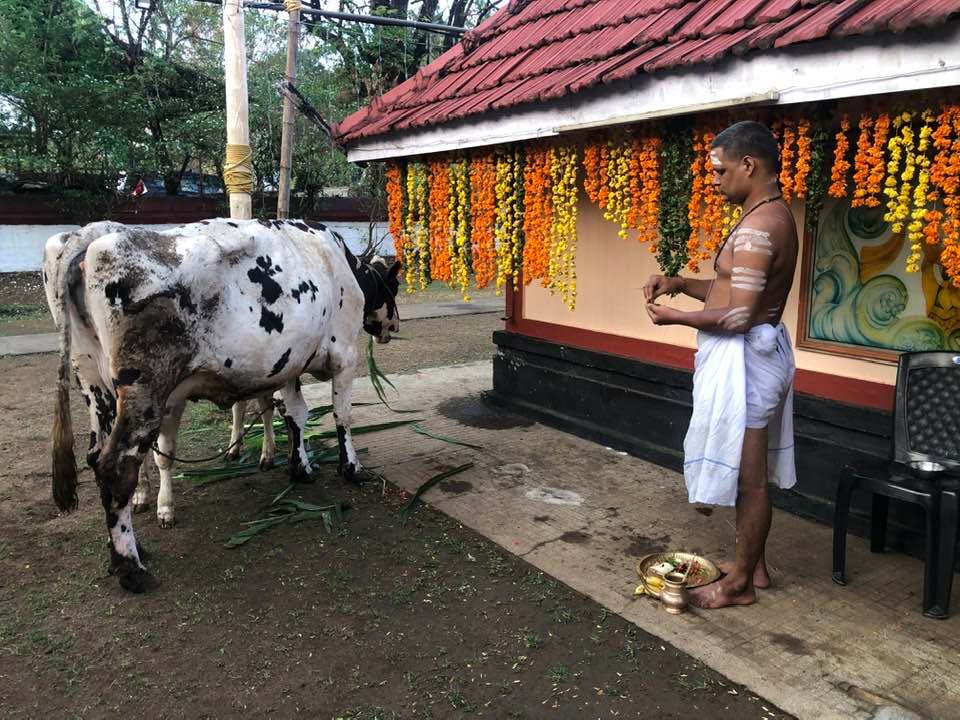 Images of Thrissur Marathompilly Sreekrishna Temple