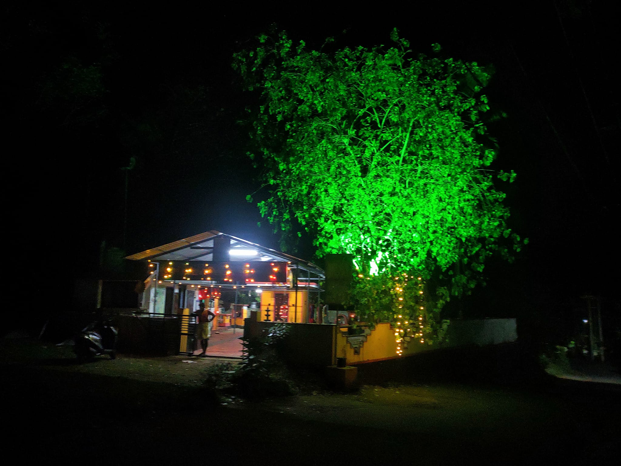  Mattapilly  Bhagavathy  Temple Thrissur