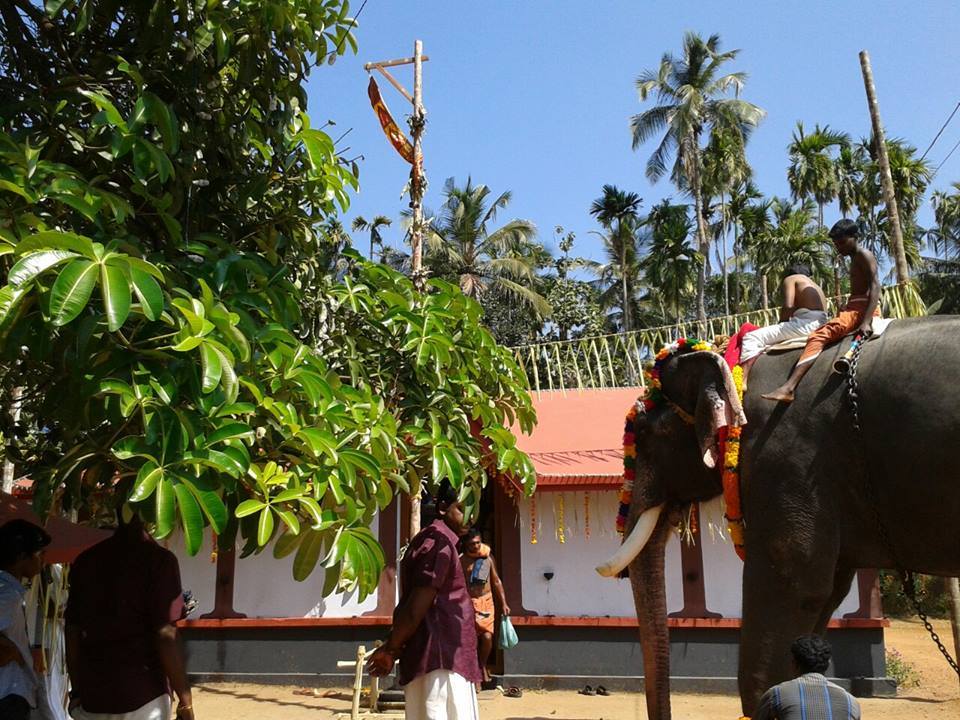 Sree Thullangara Bhagavathy  Temple Thrissur Dresscode