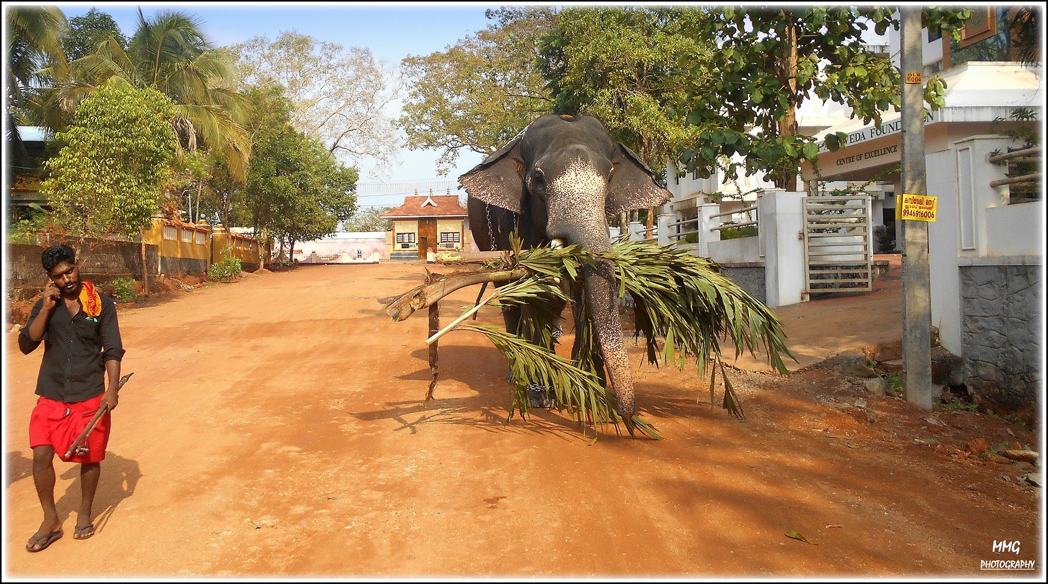 Thaikkattussery Durga Bhagavathy  Temple Thrissur Dresscode