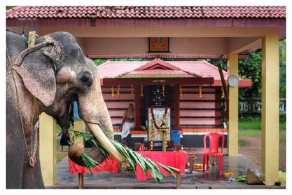  Kappiyur Chirakkal Bhagavathitemple Thrissur Dresscode