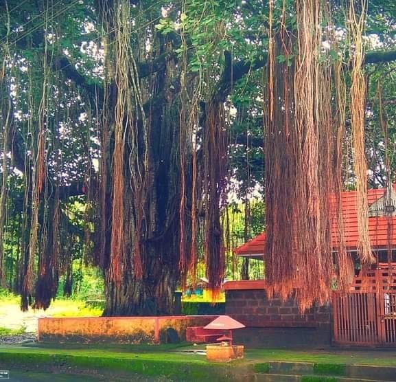 Sree Cholammakavu Temple in Kerala