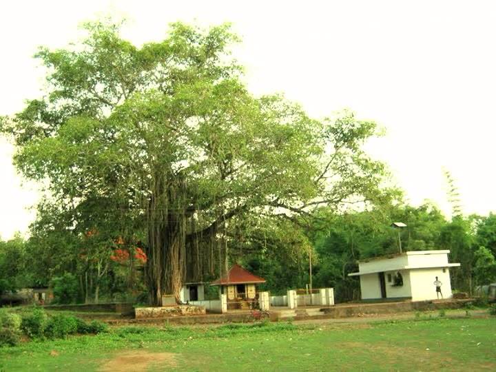 Images of Thrissur Sree Cholammakavu Temple