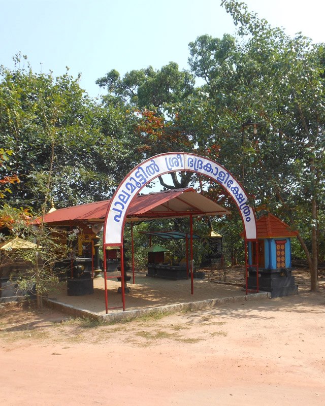 Palamoottil Sree Bhadrakali Temple Varkala new