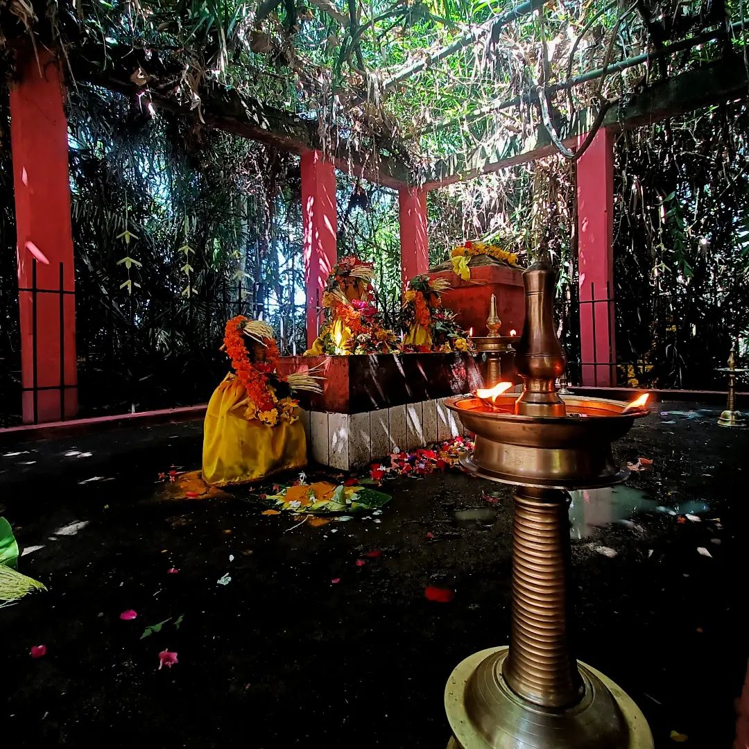 Images of trivandrum Alamcode sasthaTemple