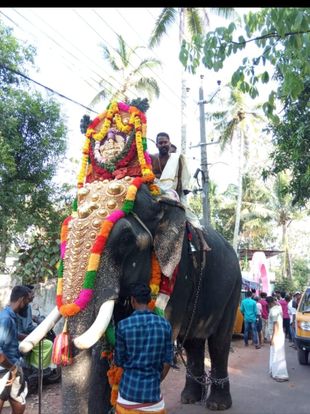 Images of trivandrum Parakunnu vishnu Temple