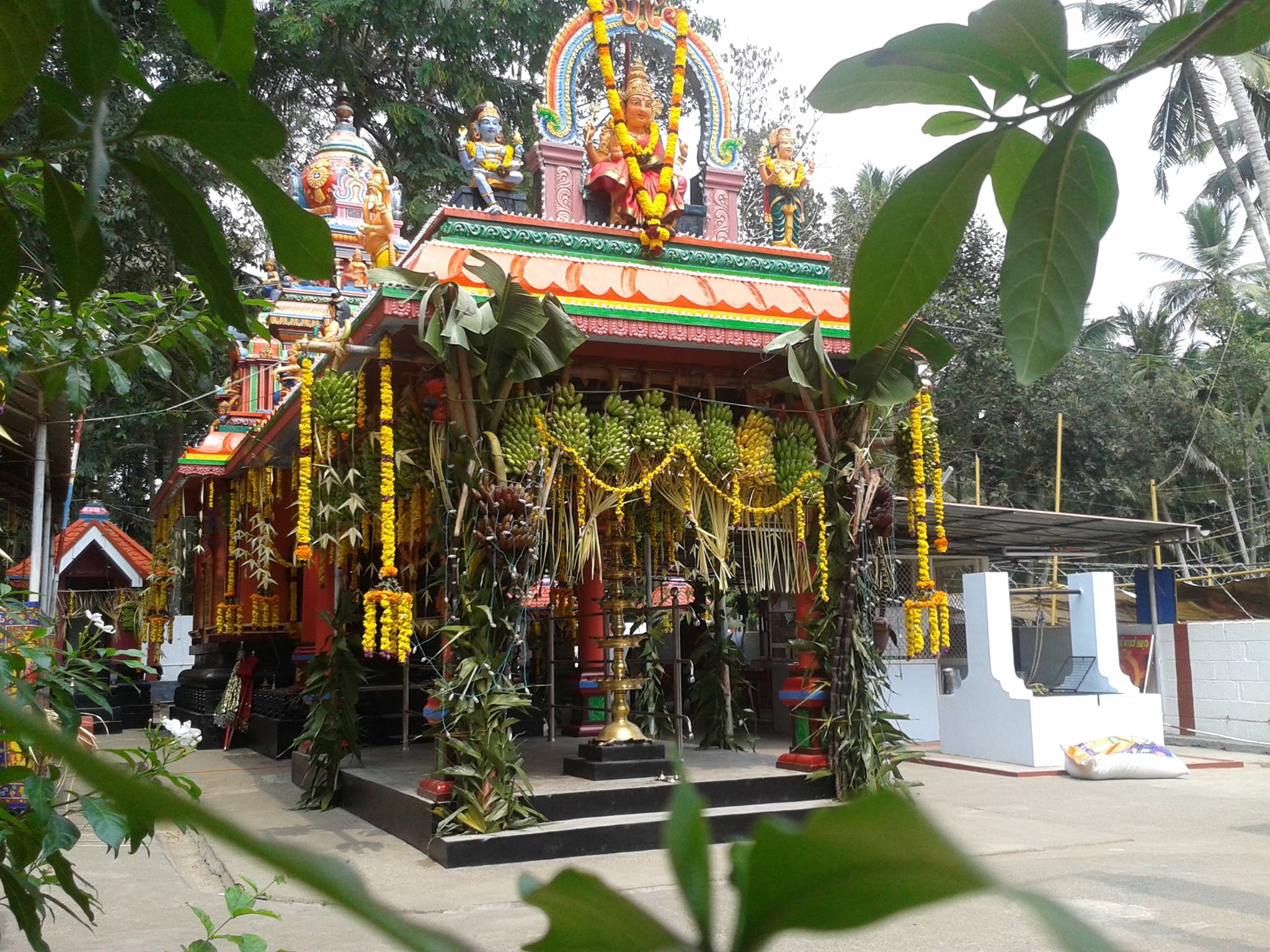 Kuttipala Bhagavathy Temple