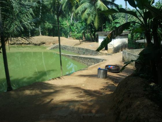 Images of trivandrum Azhakulam  devi Temple