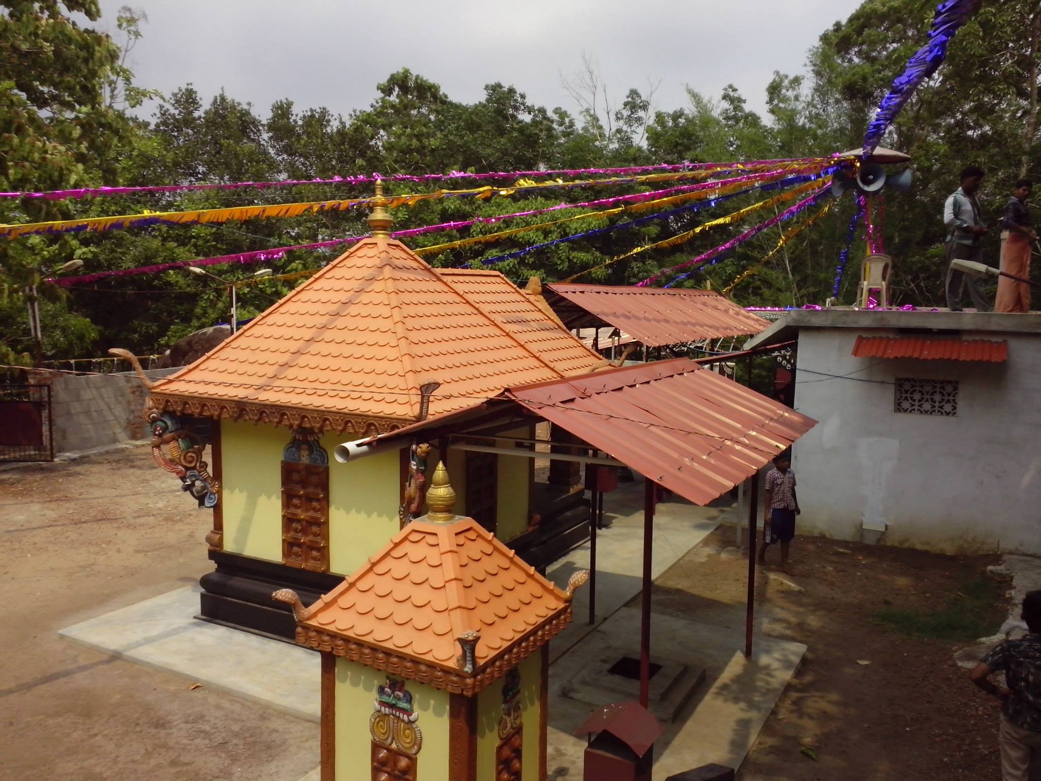 Nellidappara Sree Bhadrakali Devi Temple