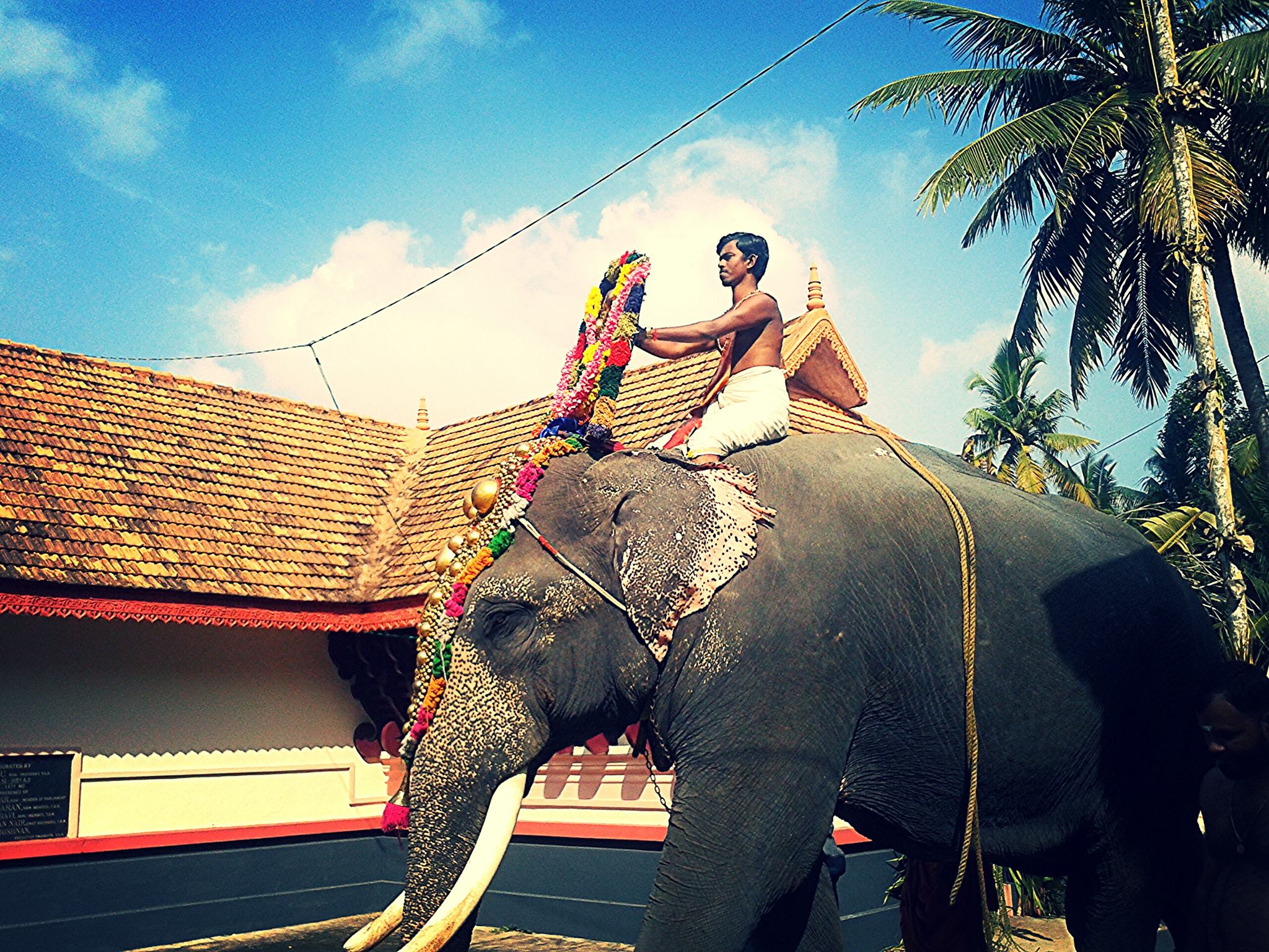 Images of trivandrum  Deveswaram Sree Mahadevar Temple