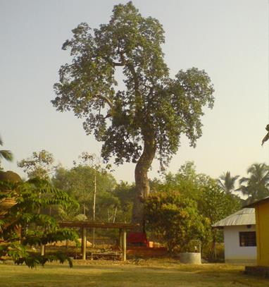 Maruthoor sastha temple  is an Shakthi  in Hinduism