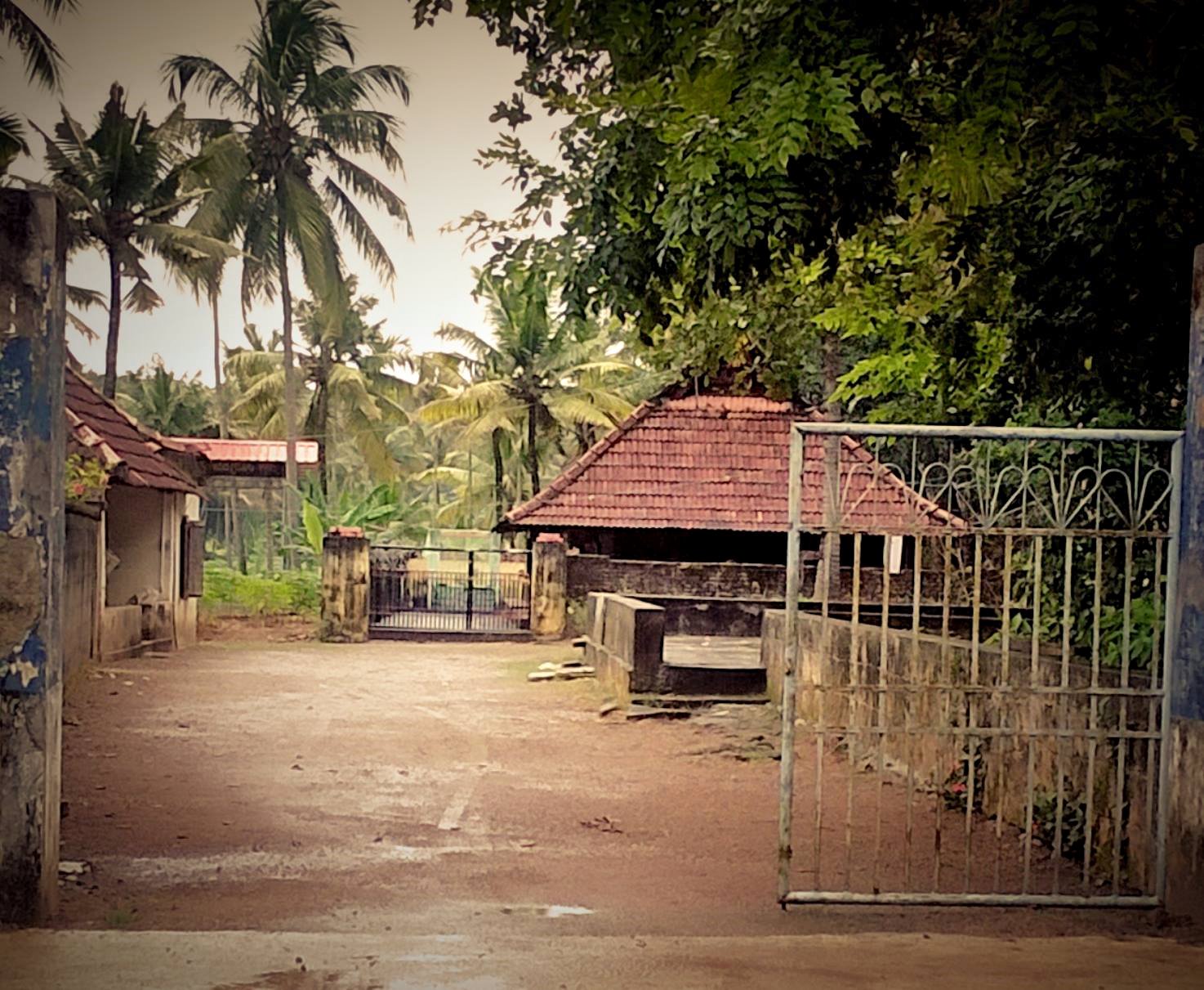 Images of trivandrum  Panappallil Bhagavathy Temple