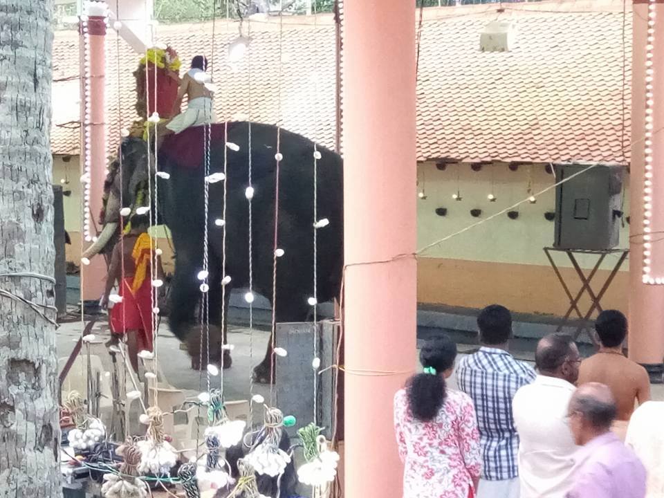 Images of trivandrum Malayinkeezhu SreeKrishna Swami  sasthaTemple