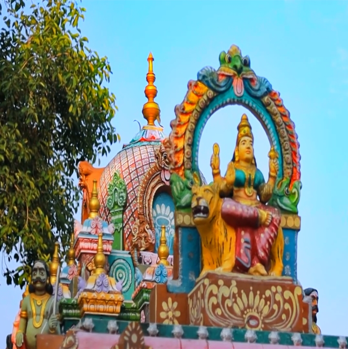 Thannimoodu Sreedevi  Temple in Kerala