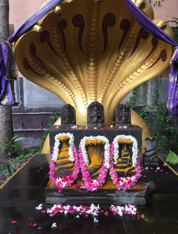 Images of trivandrum Pazhanchira Devi Temple