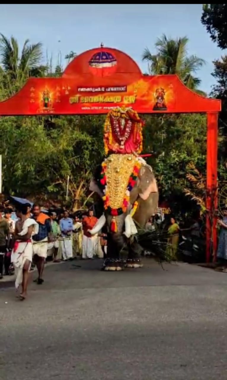 Thekkumkara Parantodu Devi temple  is an Shakthi  in Hinduism