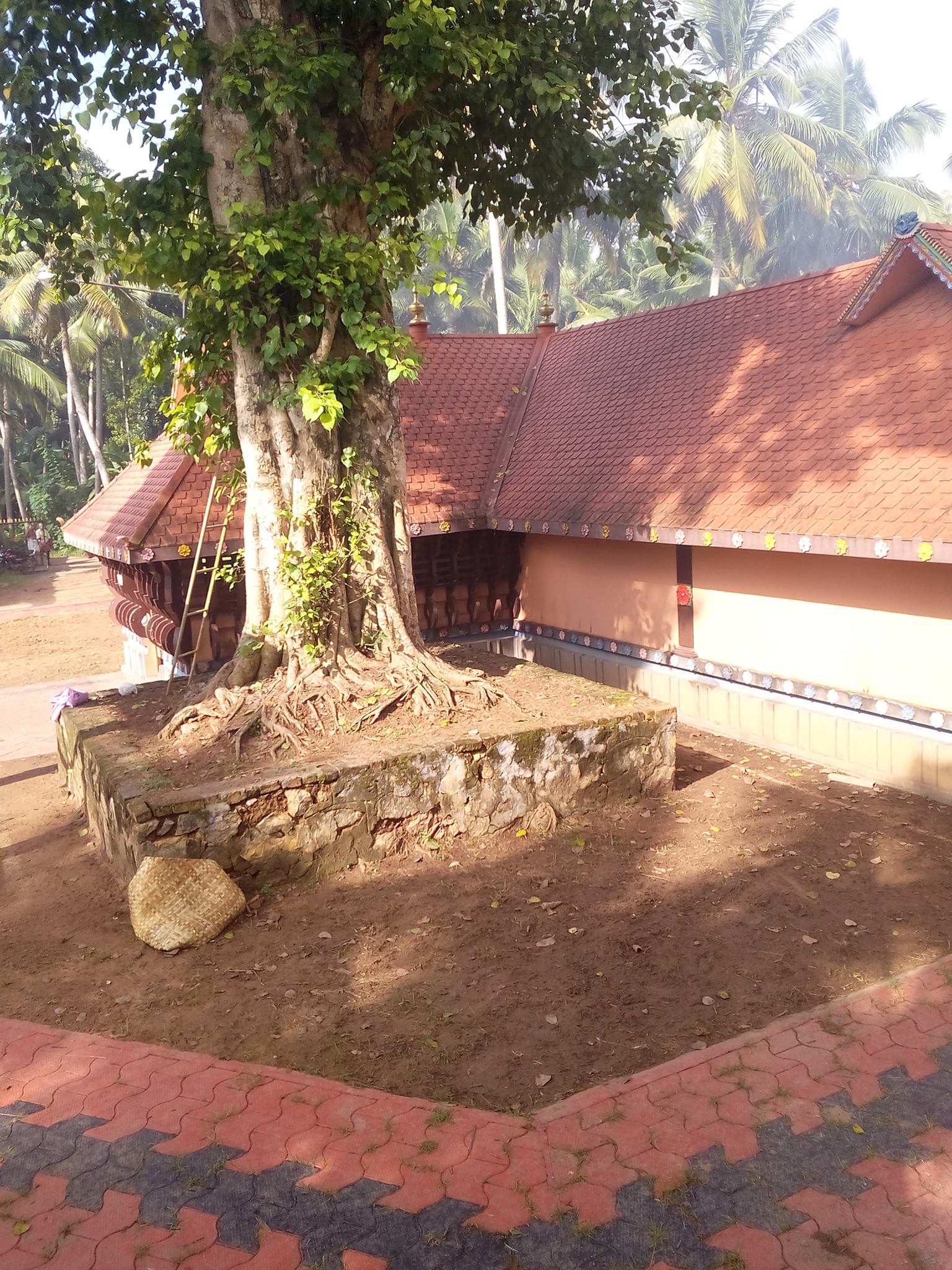 Chenkal Kuttamath Bhagavathi temple  is an Shakthi  in Hinduism