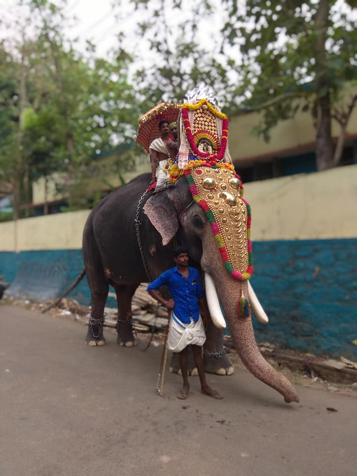  Puliyara Bhagavathi Temple trivandrum Dresscode