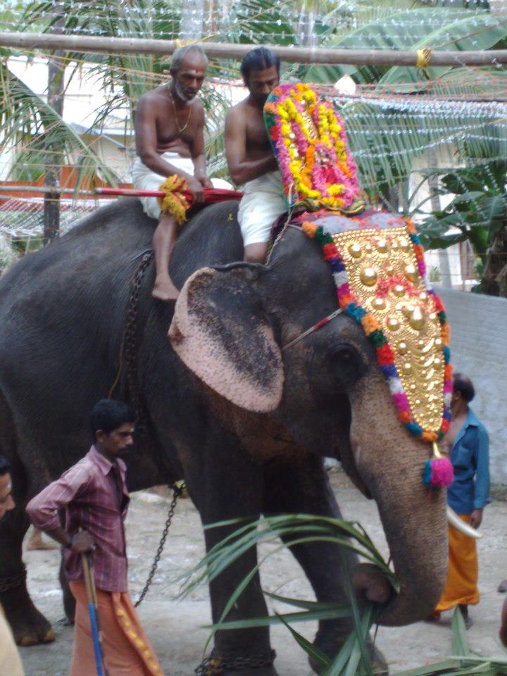 Images of Alappuzha Muttamparampath Devi Temple