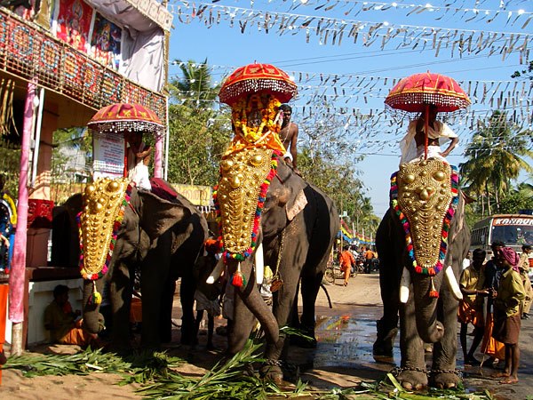 parayil Sree Dharma Shastha is an Shakthi devi in Hinduism