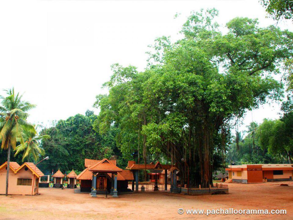 Pachalloor Sree Bhadrakali   is an Shakthi devi in Hinduism