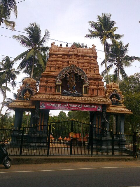 Pachalloor Sree Bhadrakali   Temple trivandrum Dresscode