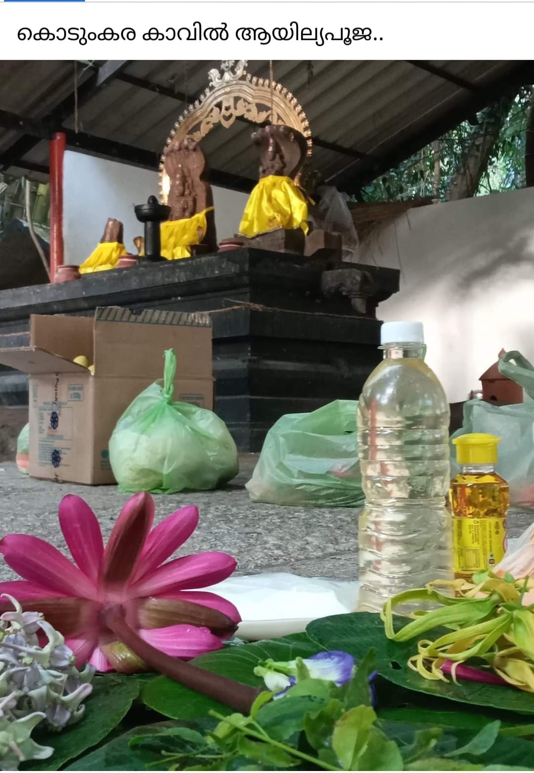 Images of trivandrum 
                  Kodumkara Nagar bhagavathi temple 