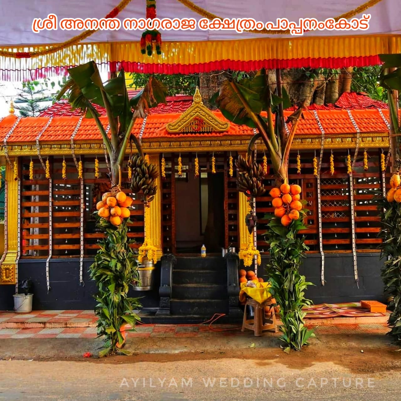 Sree Anantha Nagaraja Temple 