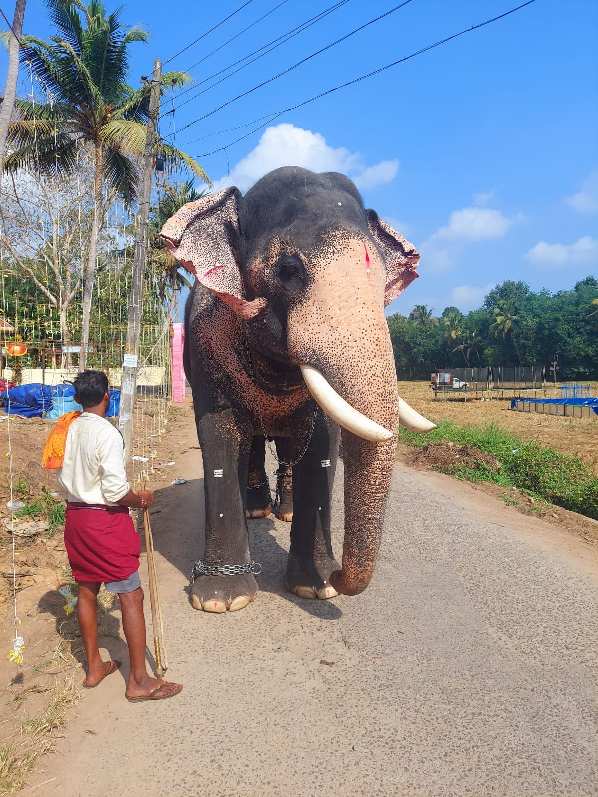 Images of trivandrum   Kurushiyod  DeviTemple