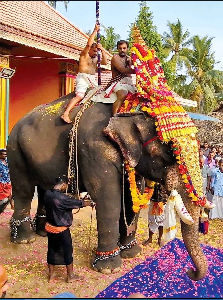 Nadaswaram and Panchavadyam at Thookkam Festival Kerala