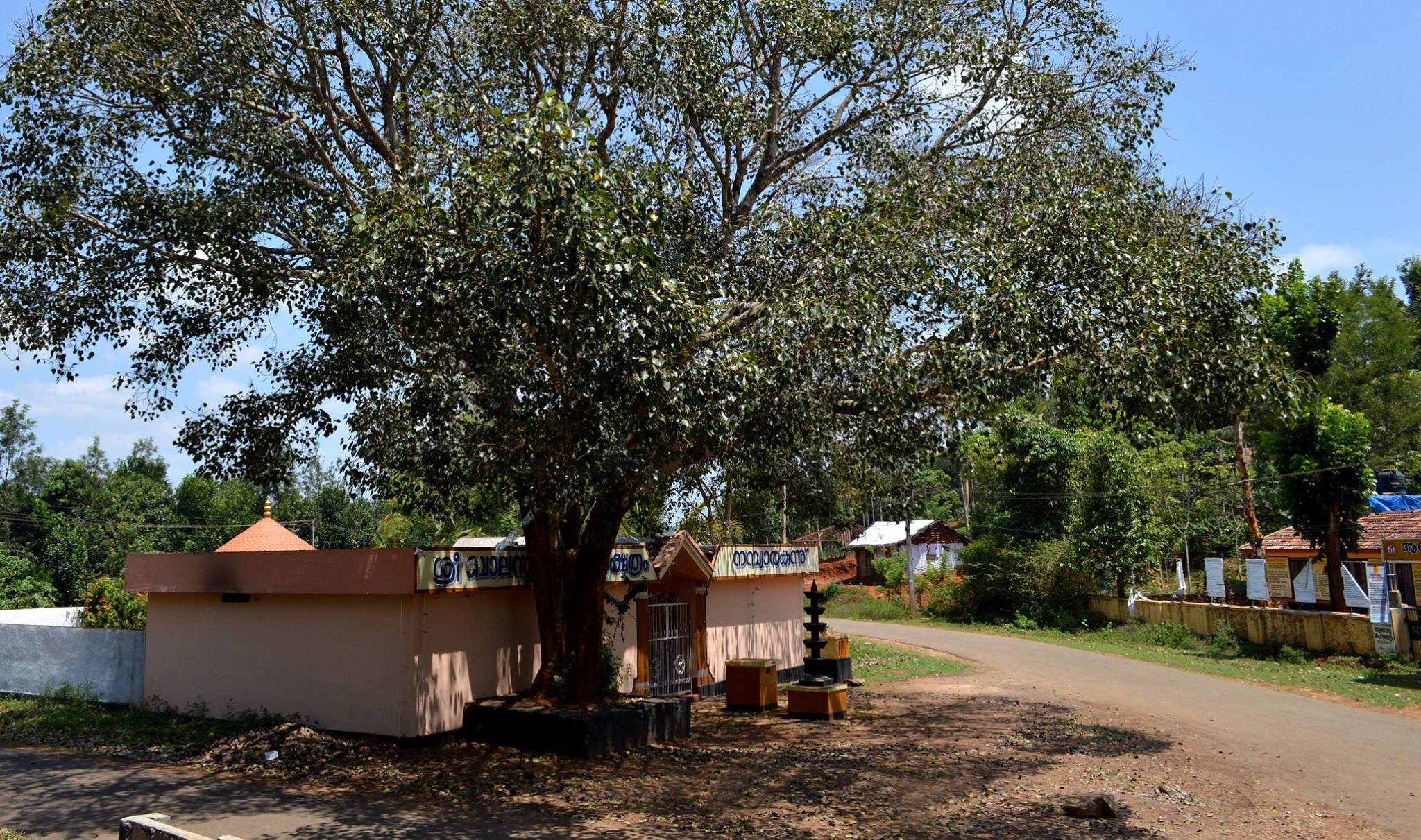 Nambiarkunnu Sree Bala Subramanya Swamy  Temple in Kerala