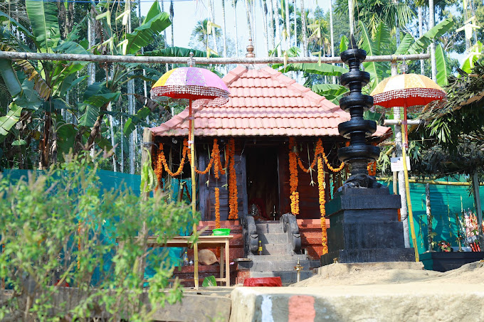 Sri Naikolly Bhadrakali Temple